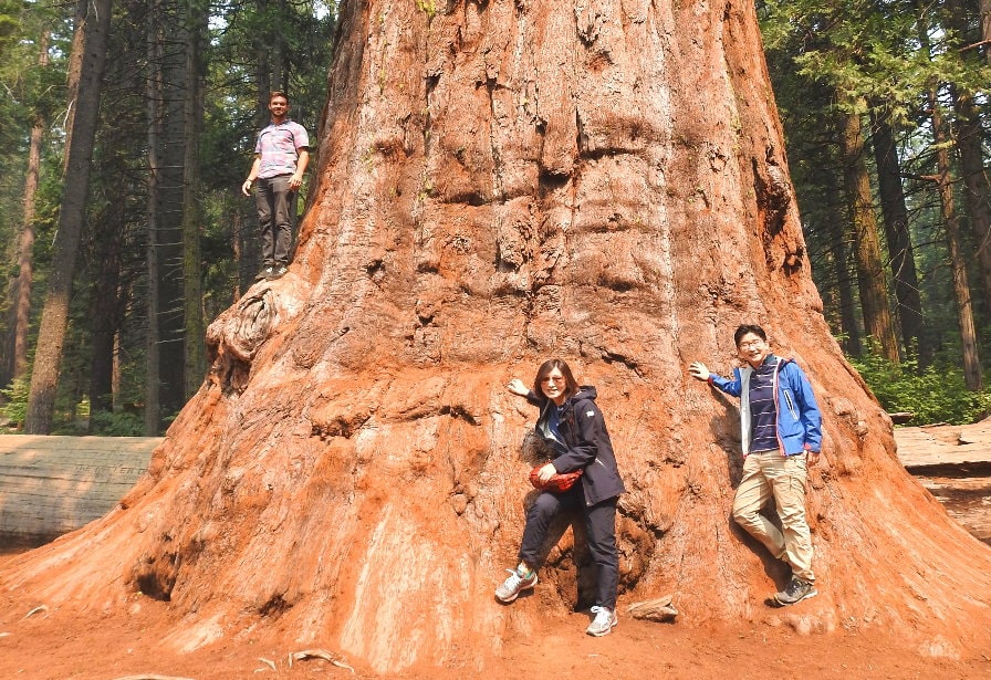 giant-sequois-park-hike-travel-guide-sierra.jpg