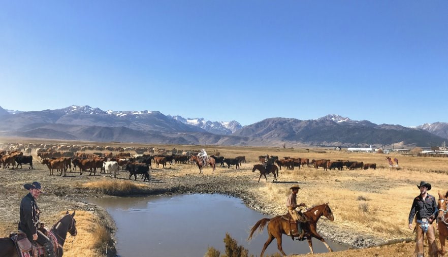 wild-west-tours-mammoth-lakes-photos-eastern-sierra-horseback-cowboys.jpg