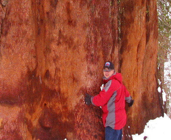 Yosemite-National-Park-trips
