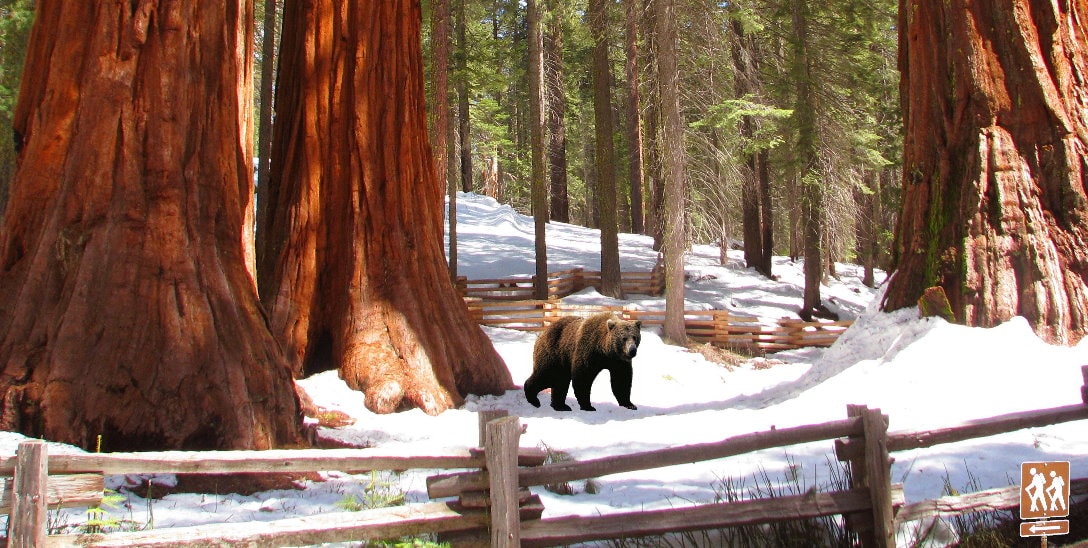 Pacotes de viagens para Yosemite com acomodação no hotel