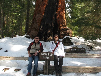 Yosemite-National-Park-trips